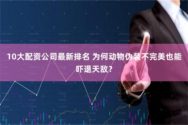 10大配资公司最新排名 为何动物伪装不完美也能吓退天敌？